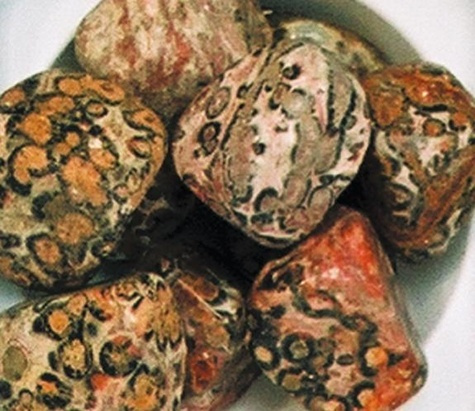 Emprunter LOT DE 10 PIERRES PETIT MODELE : JASPE LEOPARD livre