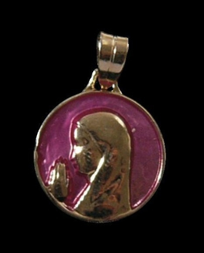Emprunter MEDAILLE OR - EMAIL ROSE - VIERGE OR livre
