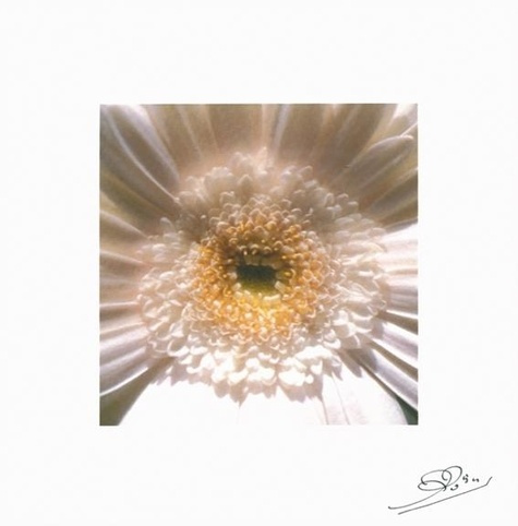 Emprunter LOT DE 10 CARTES - GERBERA BLANC livre