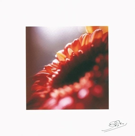 Emprunter LOT DE 10 CARTES - GERBERA ORANGE livre