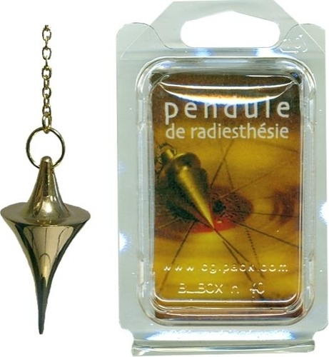 Emprunter BLISTER PENDULE KITO LAITON DORE livre