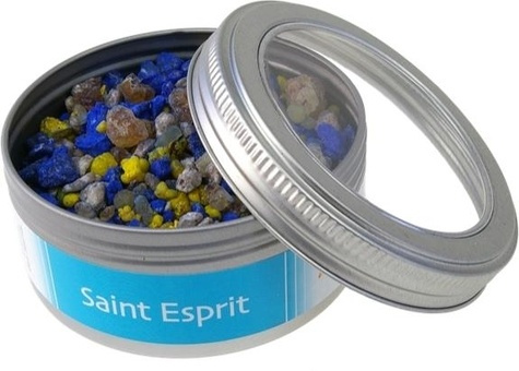 Emprunter ENCENS SAINT ESPRIT - BOITE 100 G livre