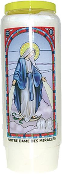 Emprunter NEUVAINE VITRAIL : NOTRE DAME DES MIRACLES livre