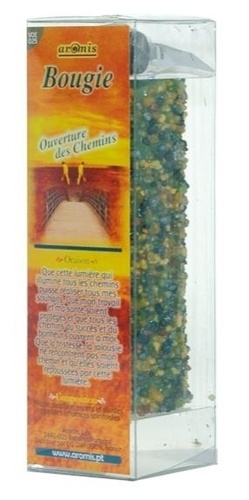 Emprunter BOUGIE PLANTES GM - OUVERTURE DES CHEMINS livre