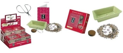 Emprunter KIT MINI BONSAI - REASSORT LOT DE 6 livre