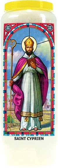 Emprunter NEUVAINE VITRAIL : SAINT CYPRIEN livre