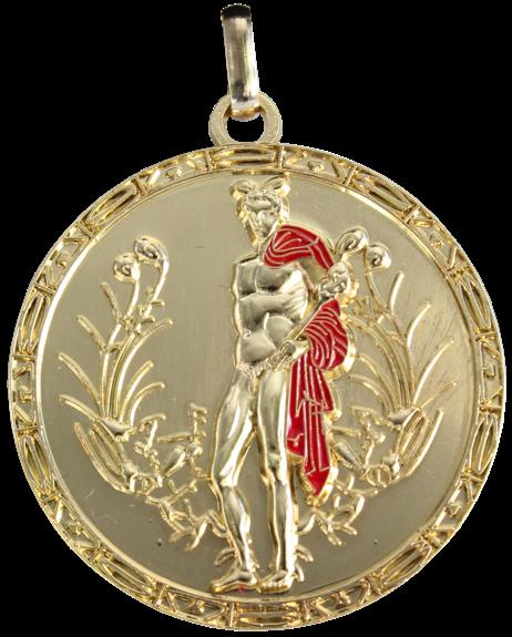 Emprunter MEDAILLE DU BOUCLIER D'HERMES livre