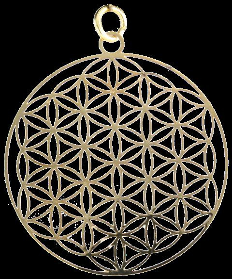 Emprunter MEDAILLE DE LA FLEUR DE VIE livre