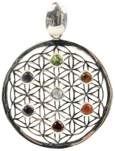 Emprunter PENDENTIF PIERRES DES CHAKRAS ARGENT 925 FLEUR DE VIE livre