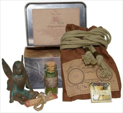 Emprunter IRON FAIRY HANNAH (FEE DES VIGNES) livre