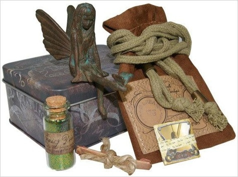 Emprunter IRON FAIRY BREA (FEE DES CAPUCINES) livre