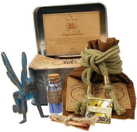 Emprunter IRON FAIRY VITA (FEE DE LA TERRE OU FEE BLEUE) livre