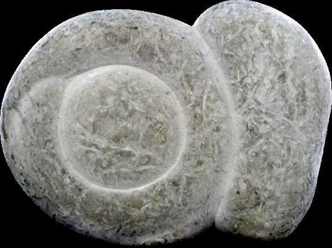 Emprunter PIERRE DES FEES VERITABLE CANADA - LA PIECE DE 3 A 5 CM livre