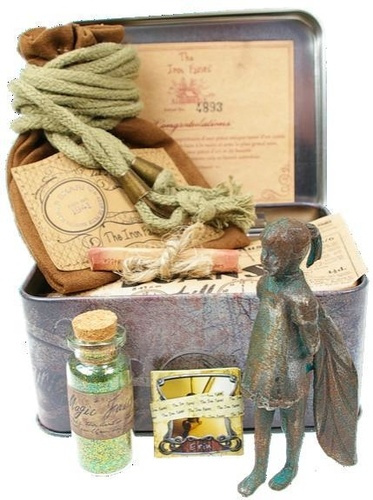 Emprunter IRON FAIRY SHARI (FEE DES LIS DU NIL) livre