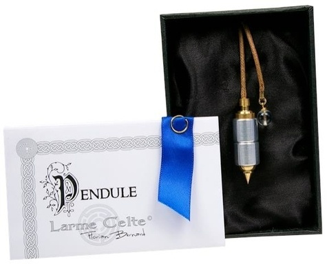 Emprunter PENDULE MODULABLE HAVRAN TYPE PERLE ALUMINIUM livre