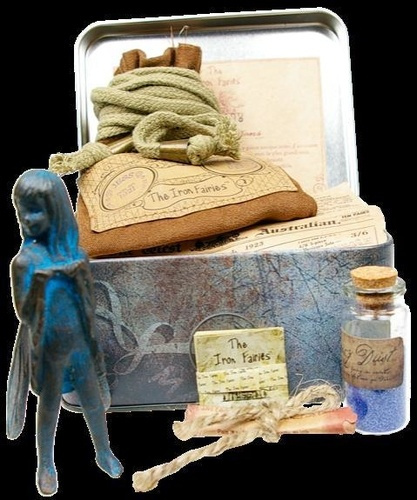 Emprunter IRON FAIRY JESS (FEE DE LA NUIT OU FEE BLEUE) livre