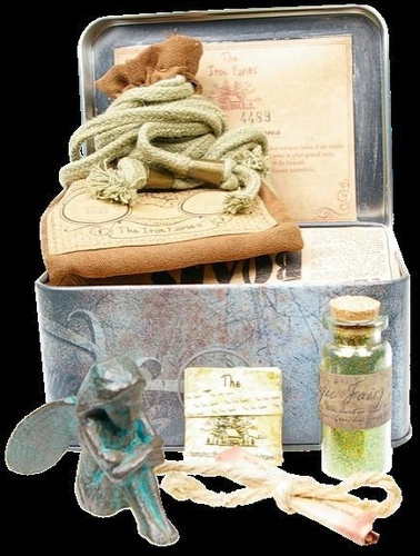 Emprunter IRON FAIRY EMMA (FEE DES FLEURS DE CERISIER) livre