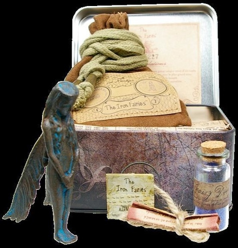 Emprunter IRON FAIRY MOUNA (FEE DU VENT OU DE LA PLUIE OU FEE BLEUE) livre