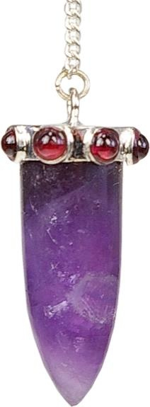 Emprunter PENDULE POINTE AMETHYSTE ET COURONNE GRENAT livre
