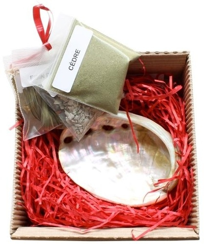 Emprunter MINI KIT DE FUMIGATION - 4 VARIETES livre