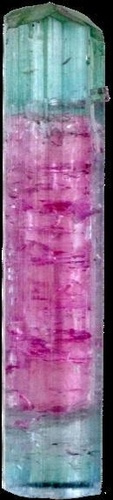 Emprunter TOURMALINE MELON D'EAU CRISTAL GEMME - PIECE DE 3 A 4 GR. livre