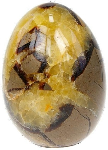 Emprunter OEUF SEPTARIA MADAGASCAR - 7 A 8 CM livre