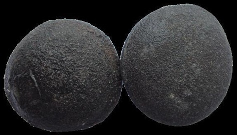 Emprunter BOULES DE BOJI - LA PAIRE livre