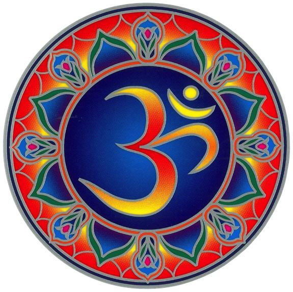 Emprunter Autocollant attrape-soleil - Ohm livre