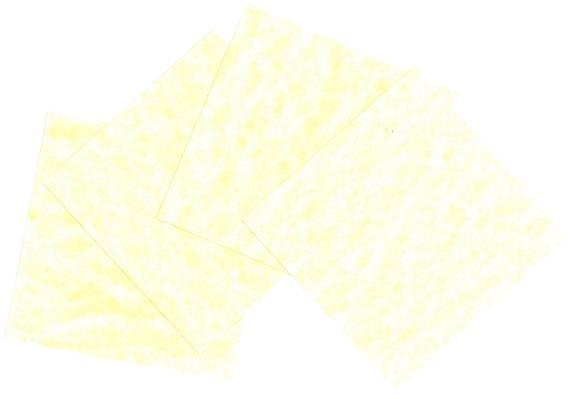 Emprunter PARCHEMIN VEGETAL - 8 X 8 CM livre