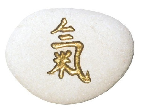 Emprunter PRESSE PAPIER GALET IDEOGRAMME ENERGIE livre