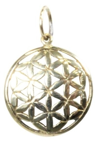 Emprunter MEDAILLE GRAINE DE VIE - LAITON - 1,5 CM livre