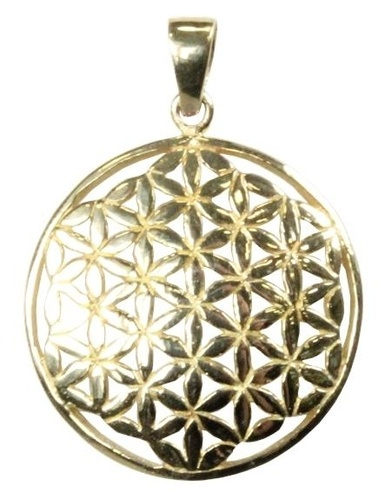 Emprunter MEDAILLE GRAINE DE VIE - LAITON - 2,5 CM livre