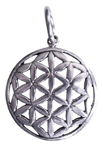 Emprunter MEDAILLE GRAINE DE VIE - ARGENT 925 - 1,7 CM livre