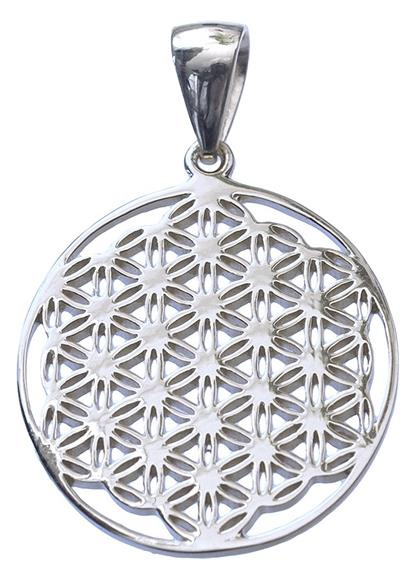 Emprunter MEDAILLE FLEUR DE VIE - ARGENT 925 - 2 CM livre