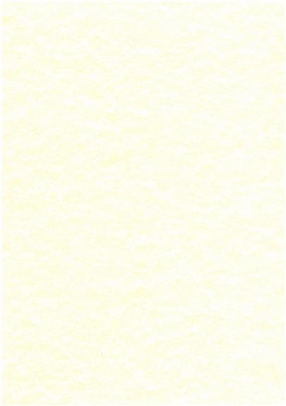 Emprunter PARCHEMIN VEGETAL 21 X 29,7 CM livre