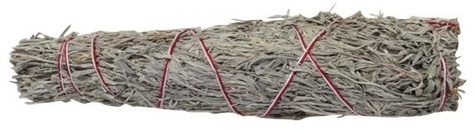 Emprunter SAUGE BLUE SHASTA PURIFICATRICE - GRAND livre