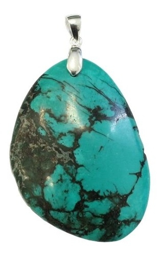 Emprunter PENDENTIF TURQUOISE NATURELLE DU TIBET - FORME LIBRE - 7 A 10 GRAMMES livre