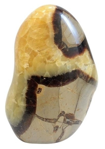 Emprunter FORME LIBRE POLIE 1 A 2 KILOS - SEPTARIA livre