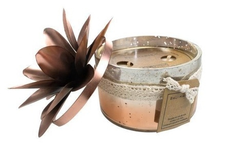 Emprunter BOUGIE VERRE 2 MECHES COLORIS CUIVRE - SENTEUR NAG CHAMPA livre