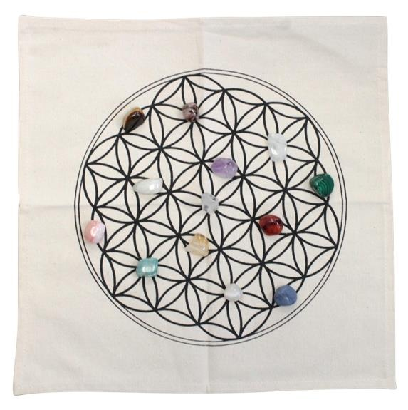 Emprunter TAPIS DE GEOMETRIE SACREE - FLEUR DE VIE livre