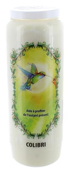 Emprunter NEUVAINE ANIMAL TOTEM : COLIBRI livre