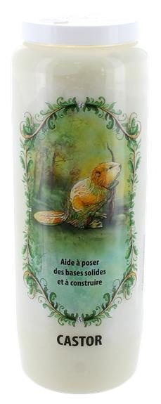 Emprunter NEUVAINE ANIMAL TOTEM : CASTOR livre