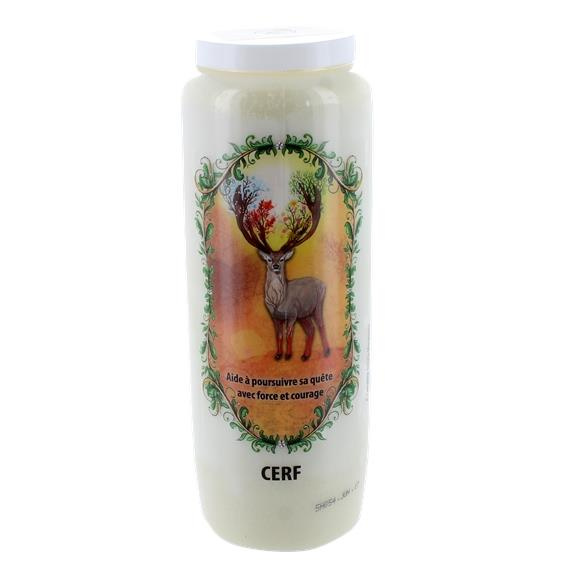 Emprunter NEUVAINE ANIMAL TOTEM : CERF livre