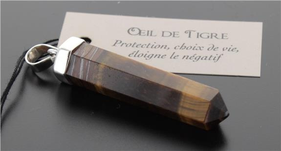 Emprunter PENDENTIF OEIL DE TIGRE FORME POINTE livre