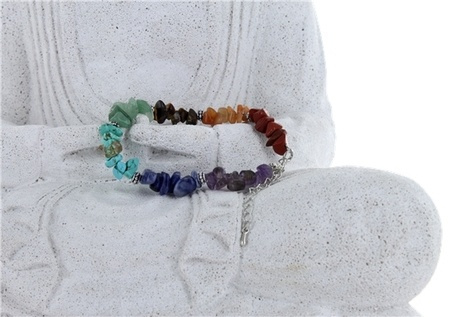 Emprunter BRACELET 7 CHAKRAS MIX CHIPS livre