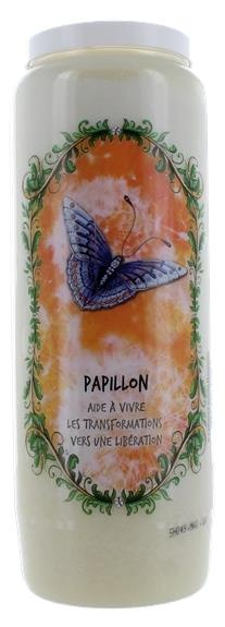 Emprunter NEUVAINE ANIMAL TOTEM : PAPILLON livre