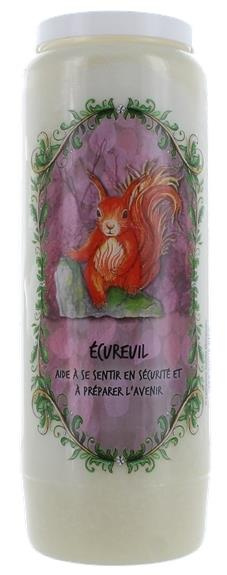 Emprunter NEUVAINE ANIMAL TOTEM : ECUREUIL livre