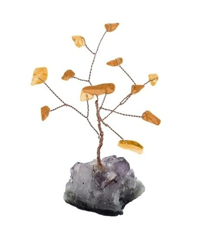 Emprunter Arbre du Bonheur Citrine 12 pierres livre