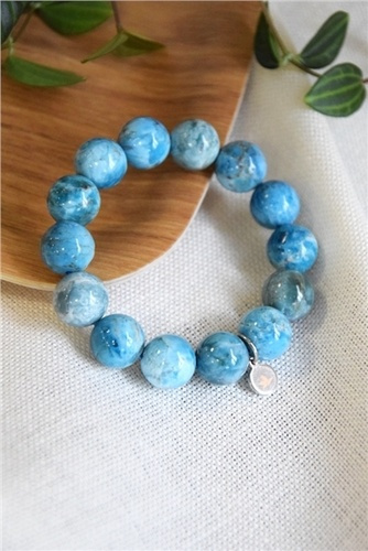 Emprunter BRACELET APATITE PERLES RONDES 14 MM livre