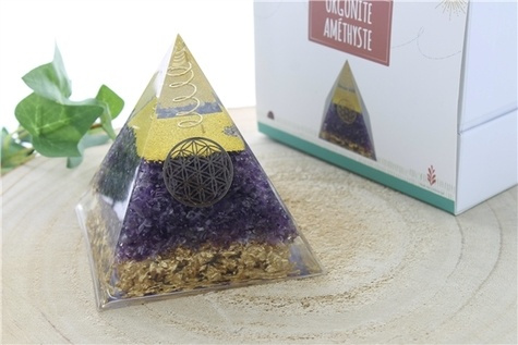 Emprunter PYRAMIDE ORGONITE AMETHYSTE FLEUR DE VIE livre
